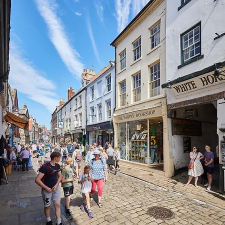 Host & - Voyagers' View